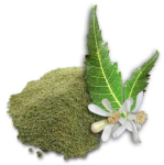 Neem poudre 250 g bio 