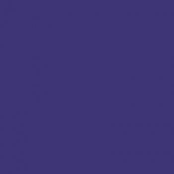 PAOLA MARIA Shirt 107 E Grape | L