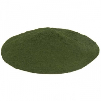 Spirulina powder 