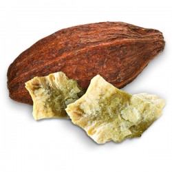 lifefood Kakaobutter 1 kg 