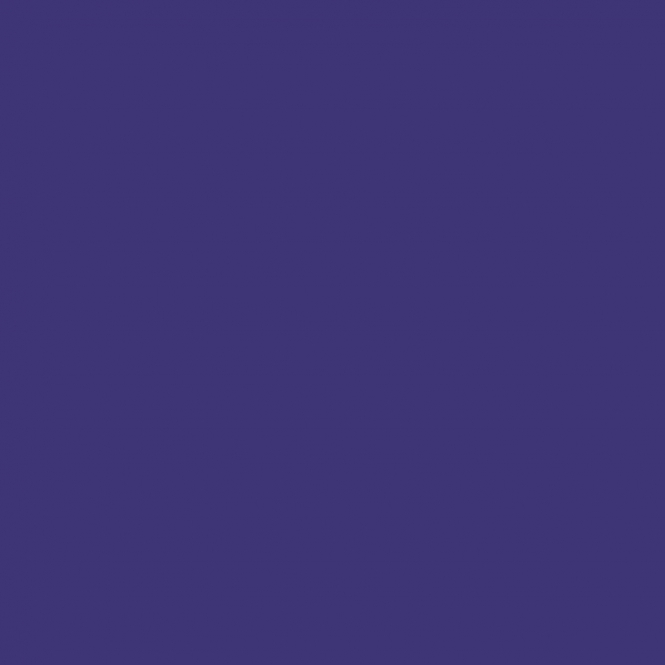 PAOLA MARIA Shirt 107 E Grape | L